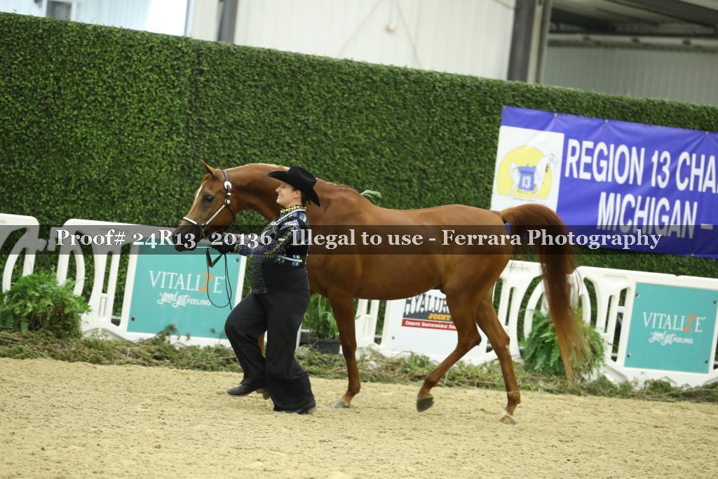 Proof 24R13_20136