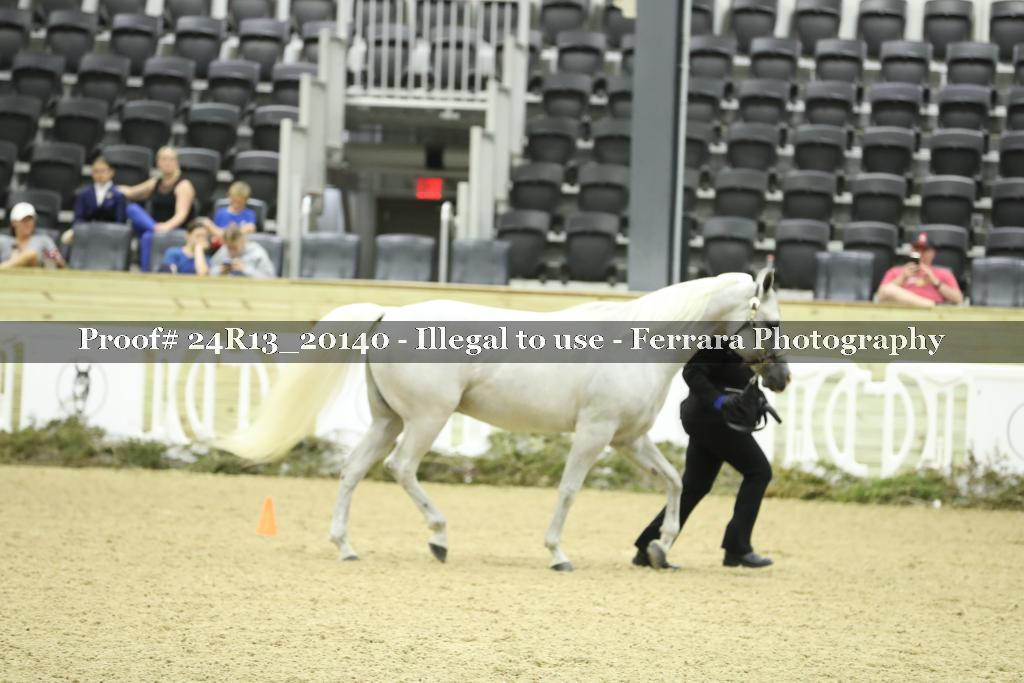 Proof 24R13_20140