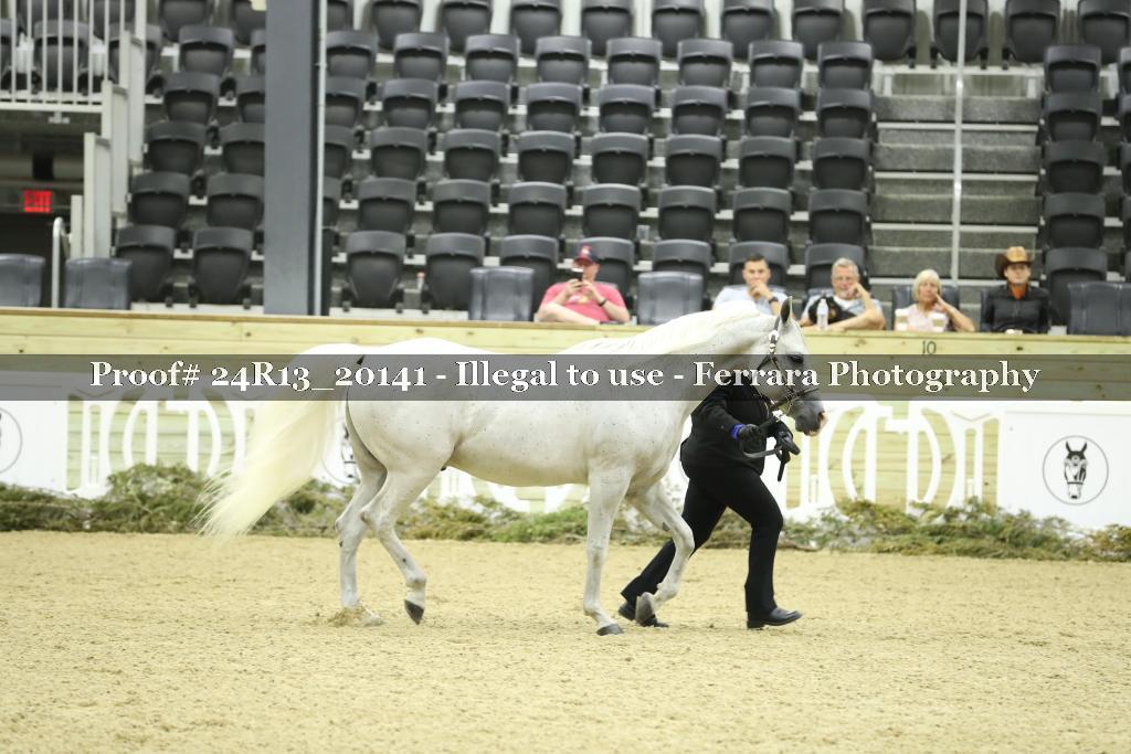 Proof 24R13_20141