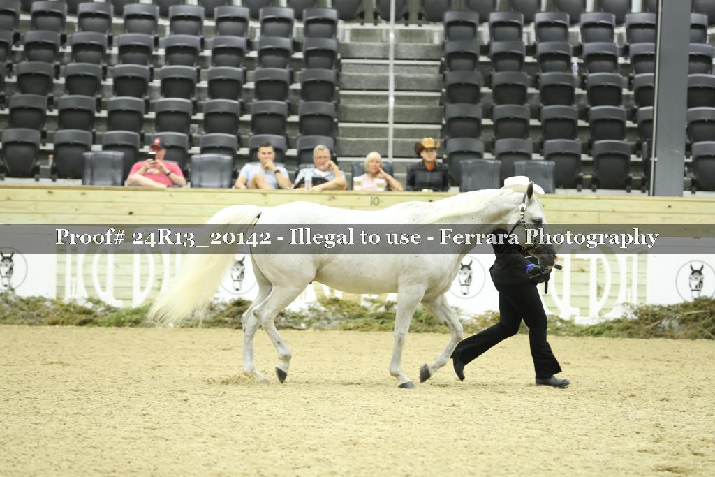 Proof 24R13_20142
