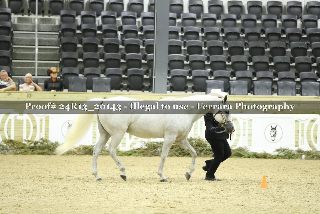 Proof 24R13_20143