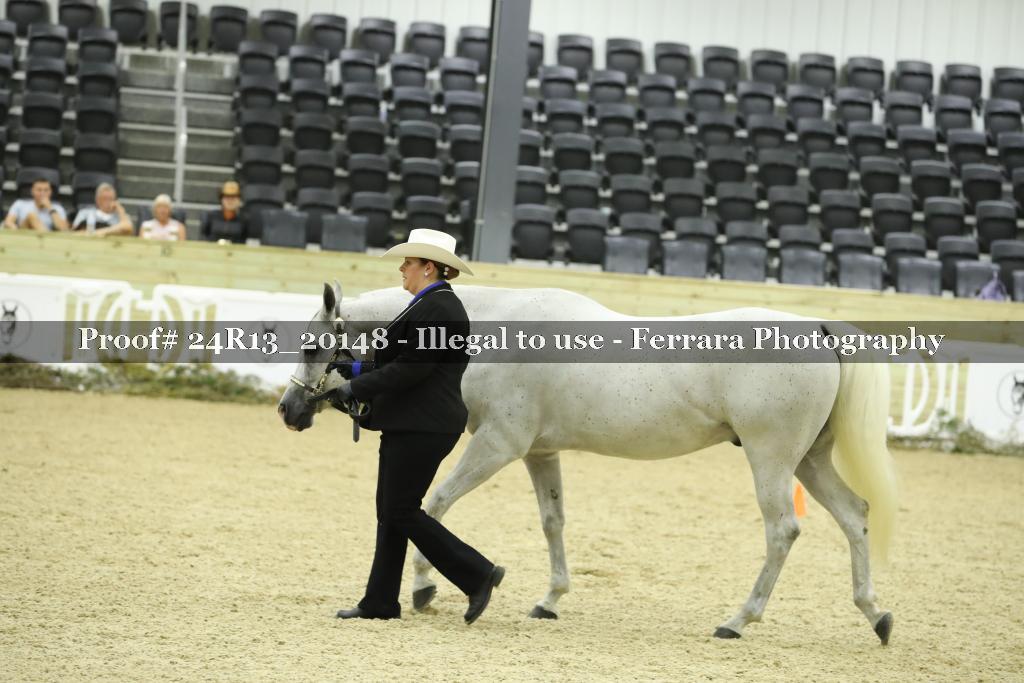 Proof 24R13_20148