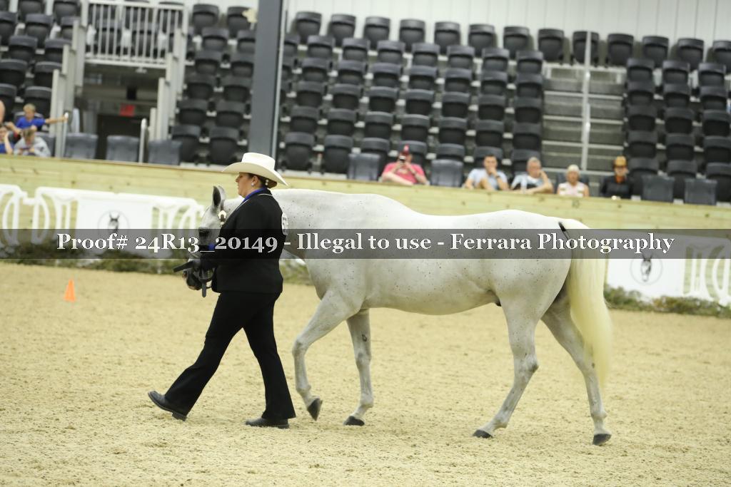Proof 24R13_20149