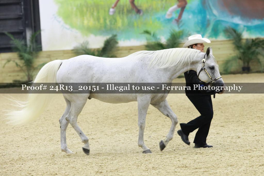 Proof 24R13_20151