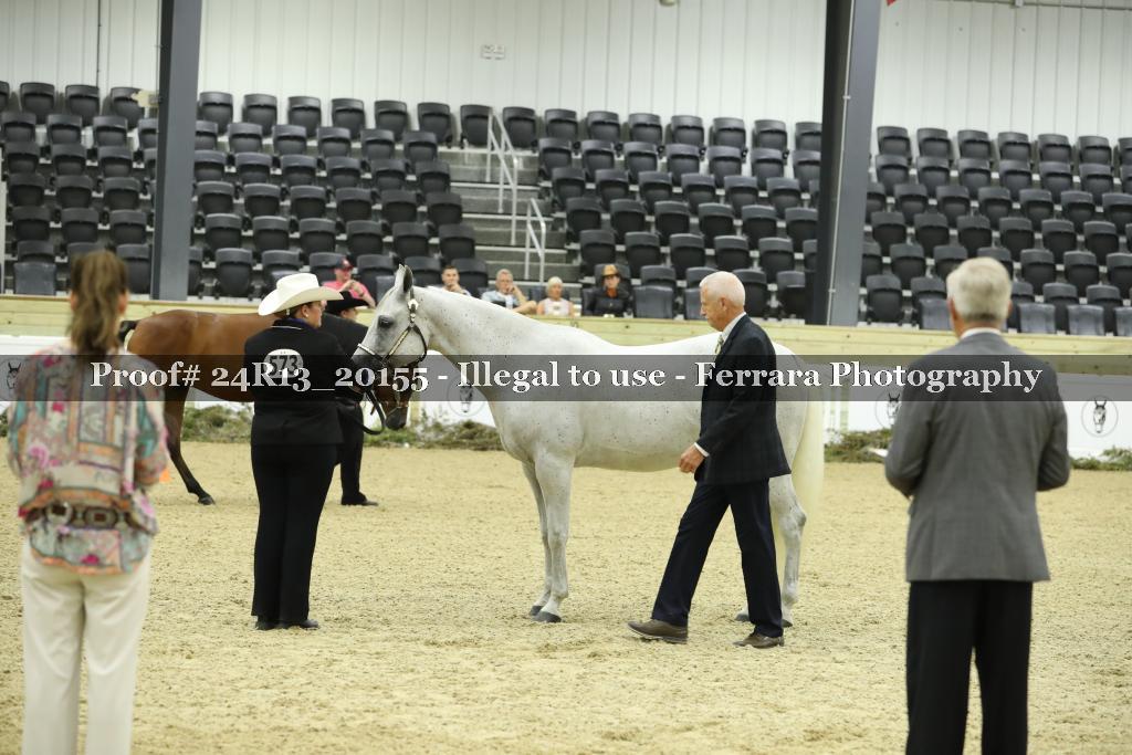 Proof 24R13_20155