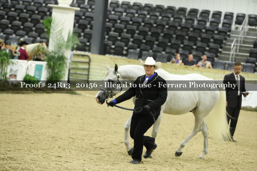 Proof 24R13_20156