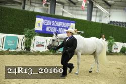 24R13_20160 proof