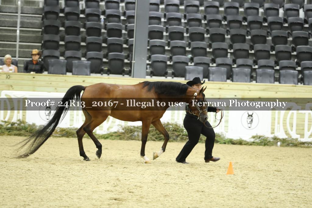 Proof 24R13_20167