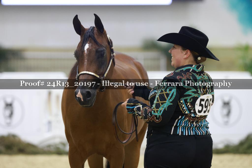Proof 24R13_20197