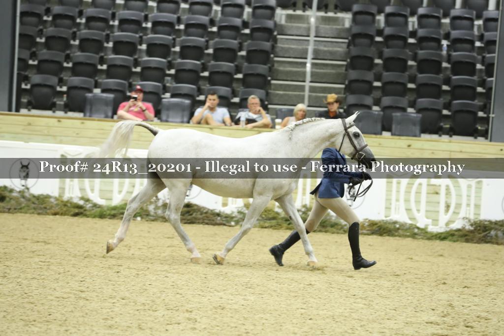 Proof 24R13_20201