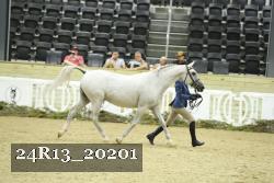24R13_20201 proof