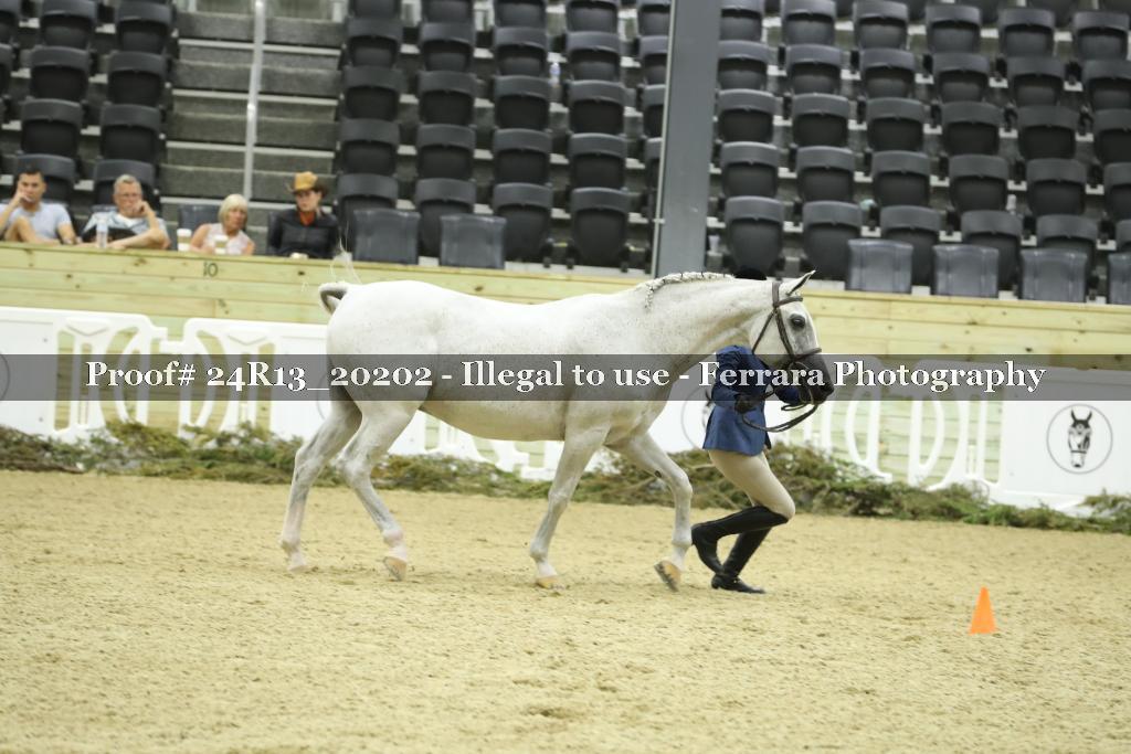 Proof 24R13_20202