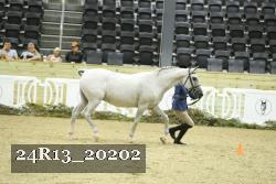 24R13_20202 proof
