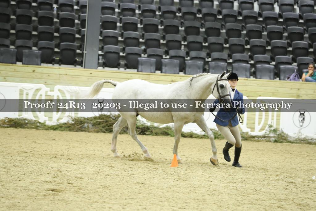 Proof 24R13_20203