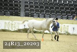 24R13_20203 proof