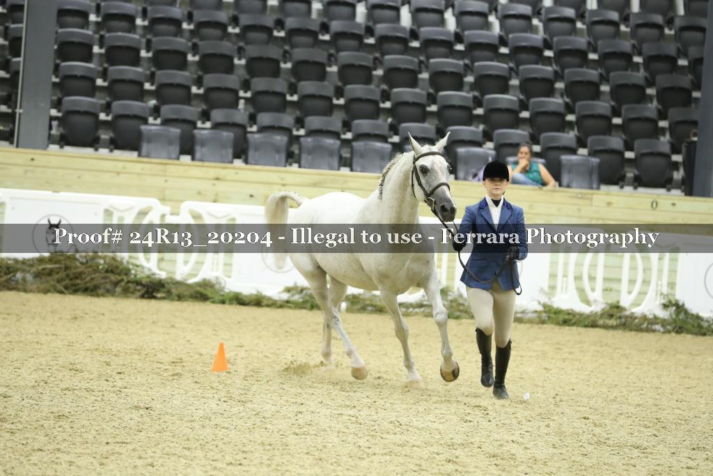 Proof 24R13_20204