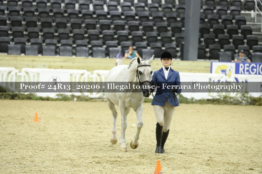 Proof 24R13_20206