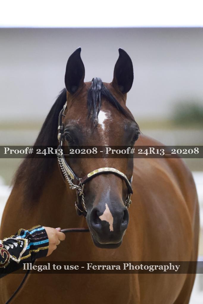 Proof 24R13_20208