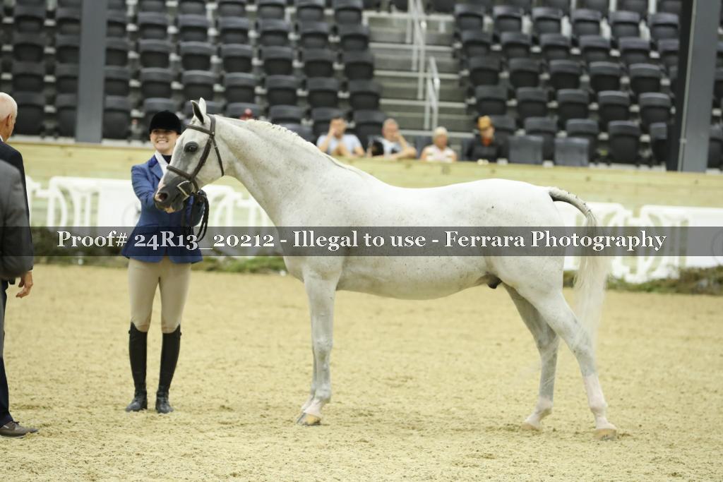 Proof 24R13_20212