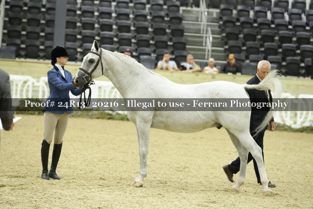 Proof 24R13_20216