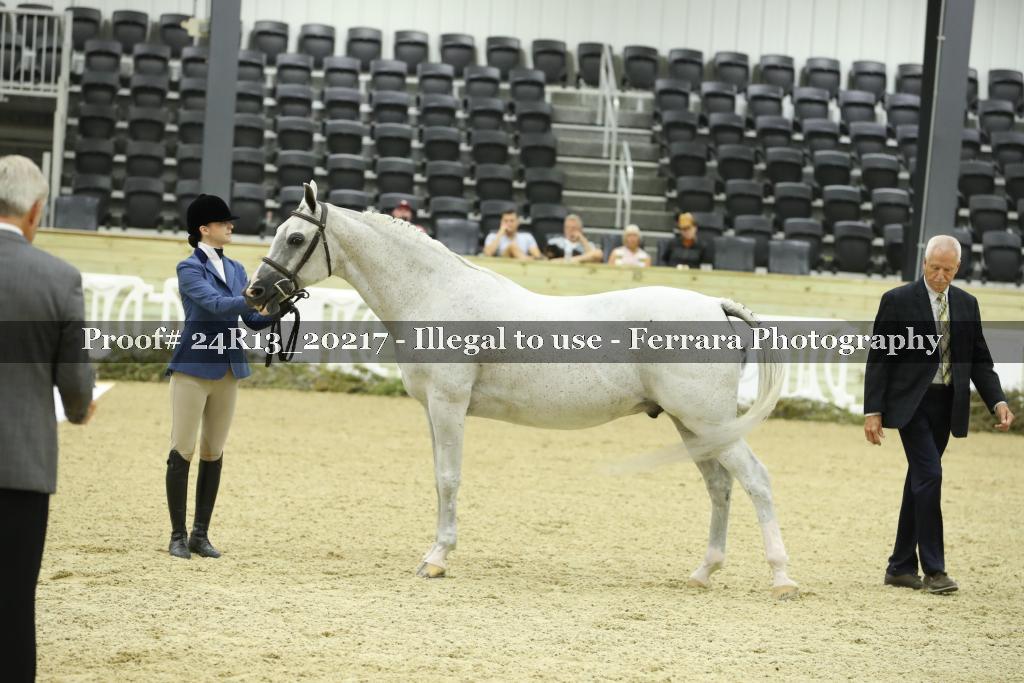 Proof 24R13_20217