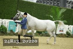 24R13_20220 proof