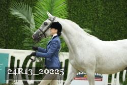24R13_20225 proof