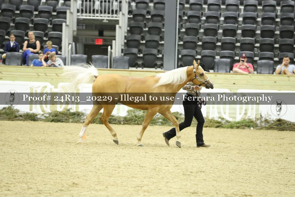 Proof 24R13_20229