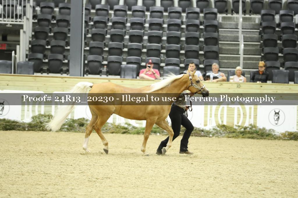 Proof 24R13_20230