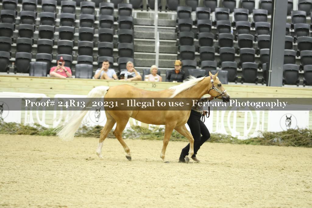 Proof 24R13_20231
