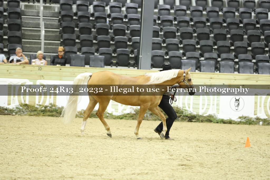 Proof 24R13_20232