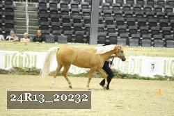 24R13_20232 proof