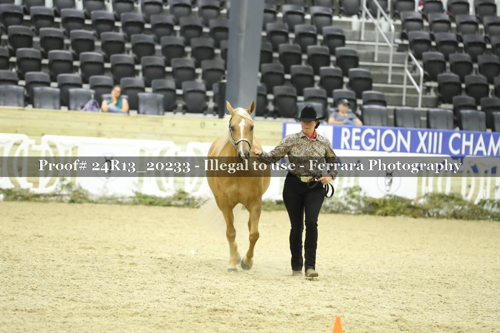 Proof 24R13_20233