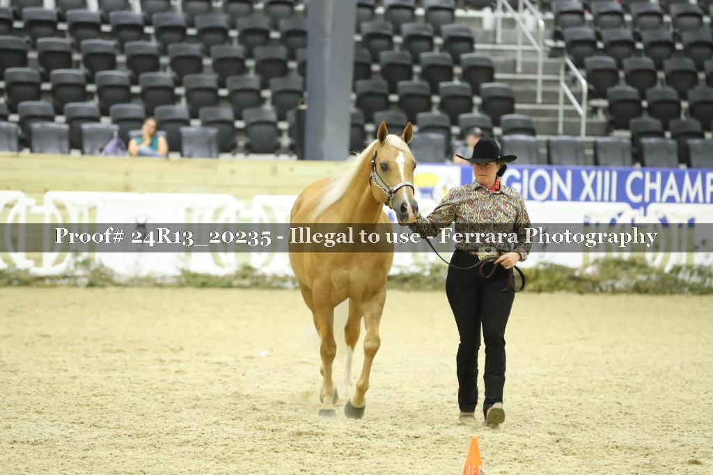 Proof 24R13_20235