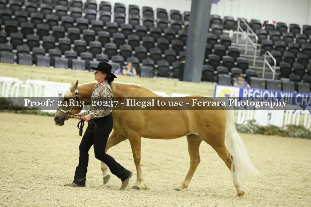 Proof 24R13_20237
