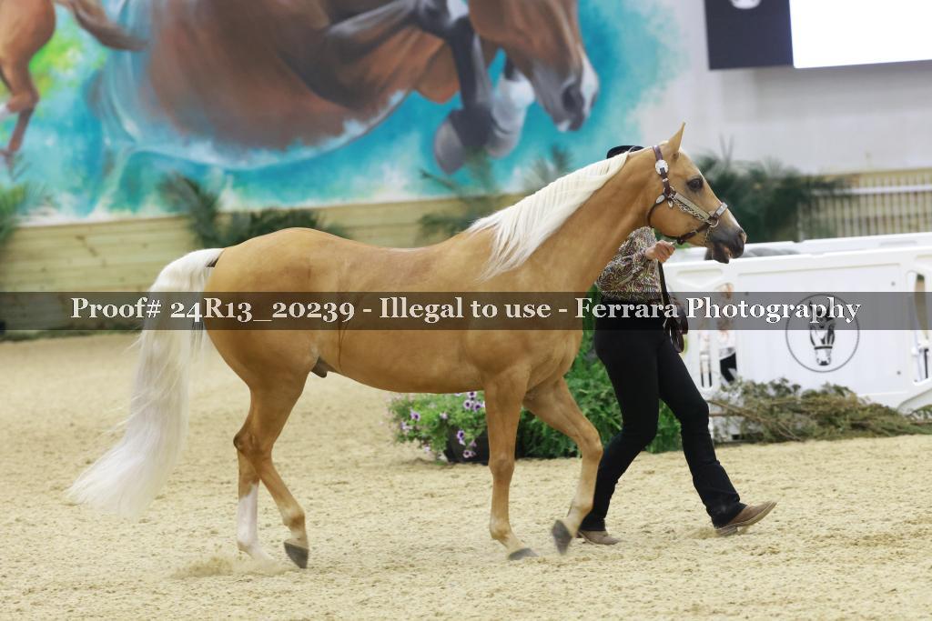 Proof 24R13_20239