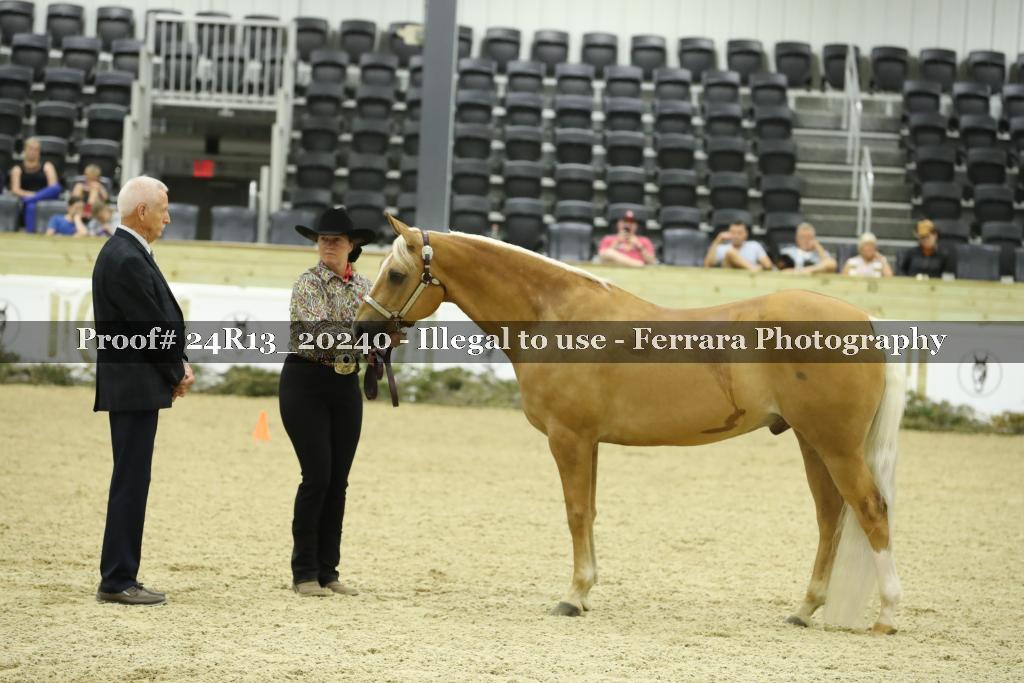 Proof 24R13_20240