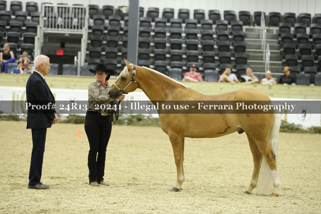 Proof 24R13_20241