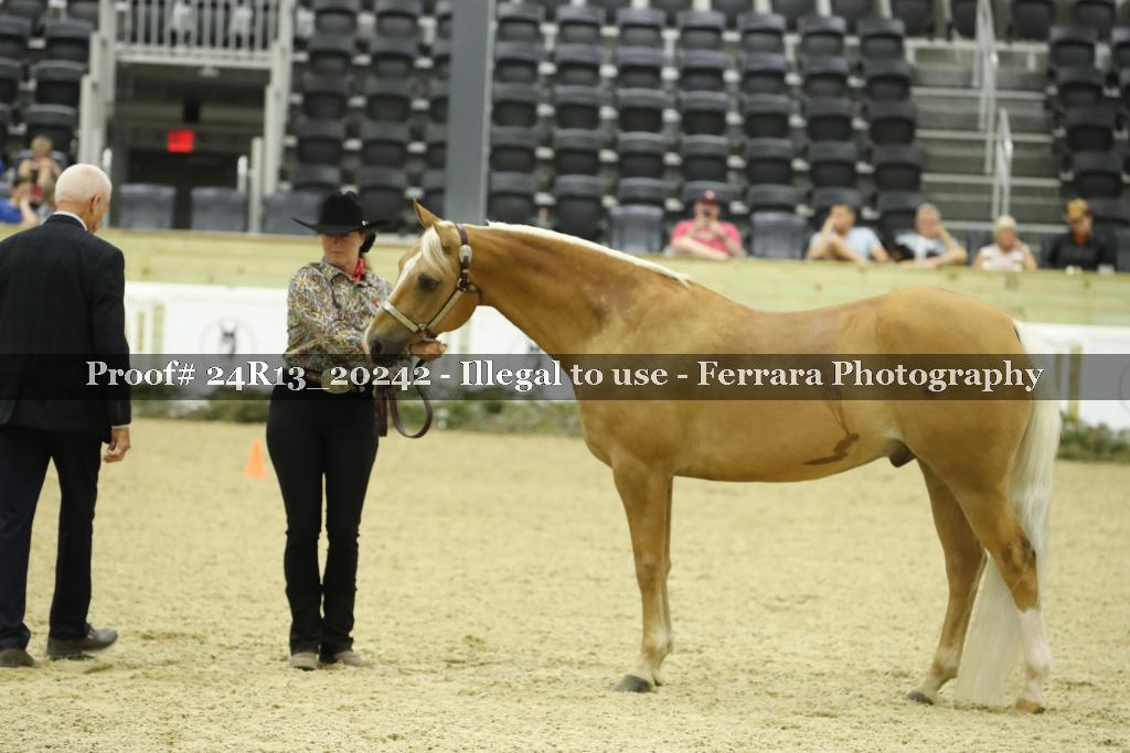 Proof 24R13_20242