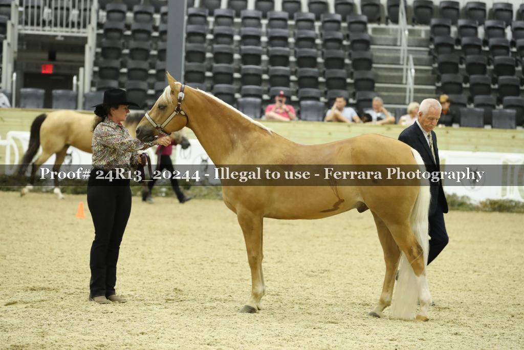 Proof 24R13_20244