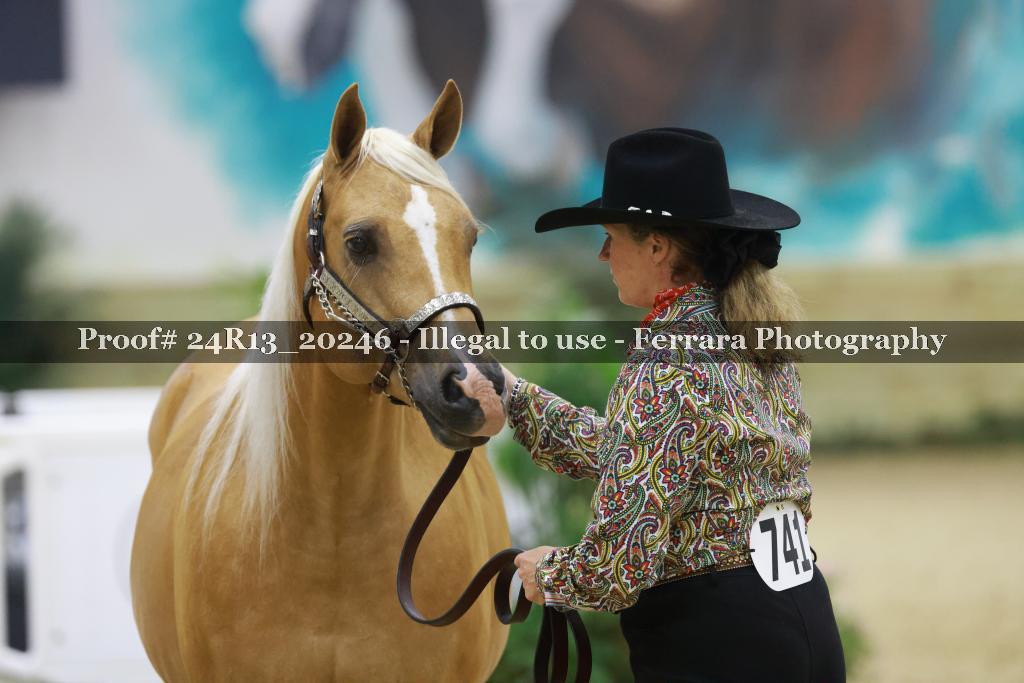 Proof 24R13_20246