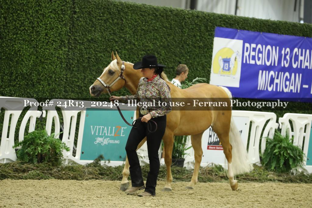 Proof 24R13_20248