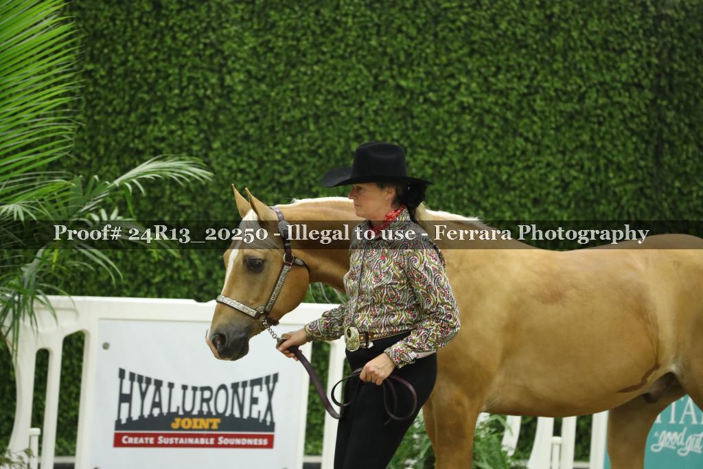 Proof 24R13_20250