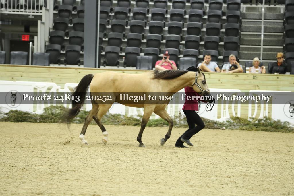 Proof 24R13_20252