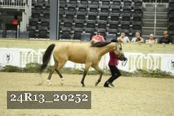 24R13_20252 proof