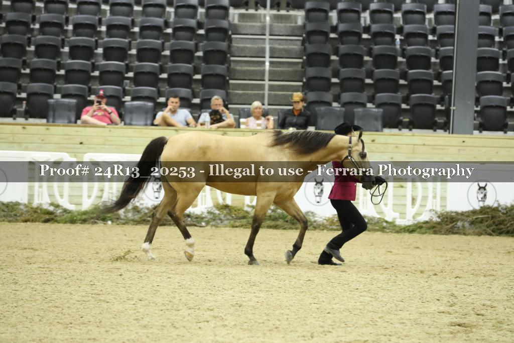 Proof 24R13_20253