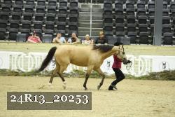 24R13_20253 proof