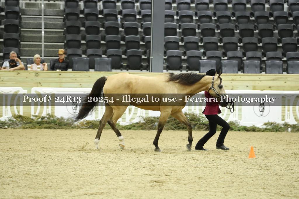 Proof 24R13_20254