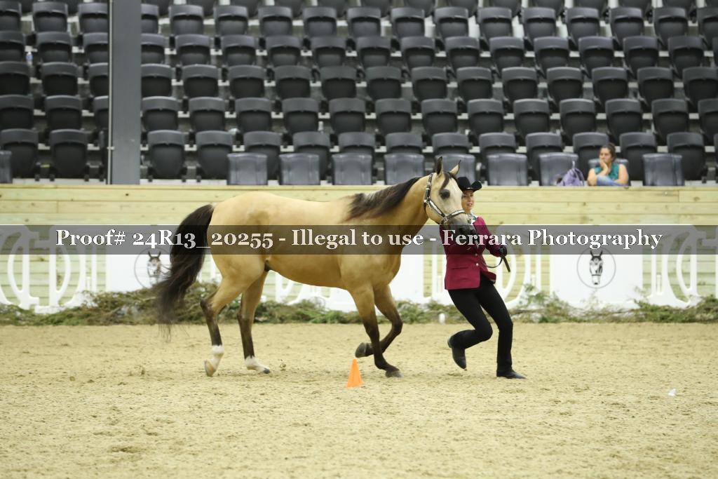 Proof 24R13_20255