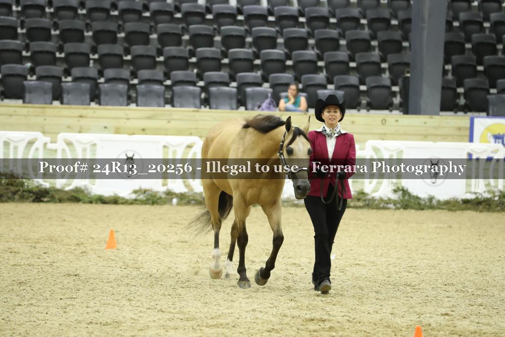 Proof 24R13_20256